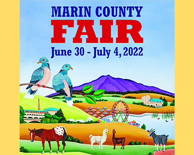 Marin County Fair 2022: So Happy Together!