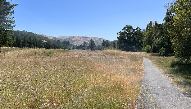 Asphalt path alongside meadow at San Geronimo Commons